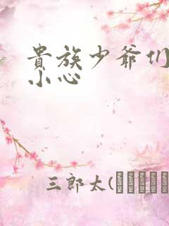 贵族少爷们 请小心