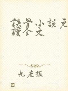 铁骨小说免费阅读全文