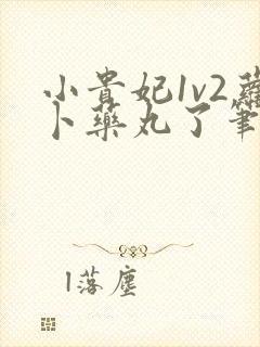 小贵妃1v2萝卜药丸了笔趣阁