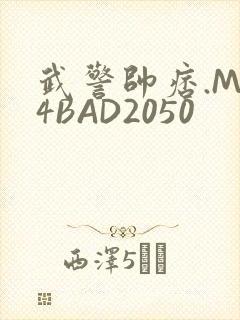 武警帅痞.MP4BAD2050