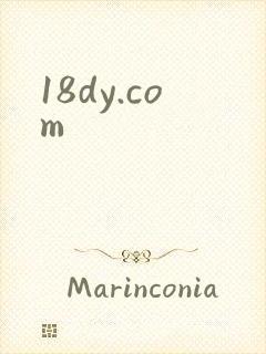 18dy.com