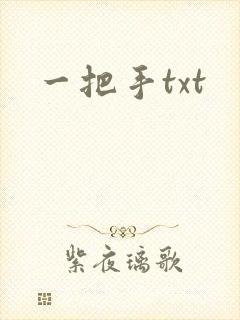 一把手txt