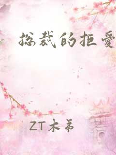 总裁的拒爱前妻