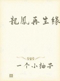 龙凤再生缘