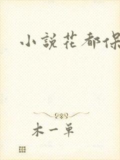 小说花都保镖