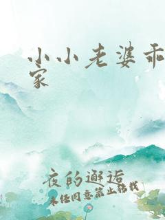 小小老婆乖乖回家