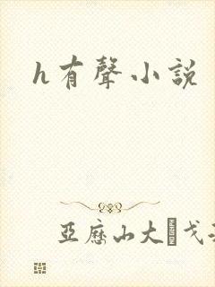 h有声小说