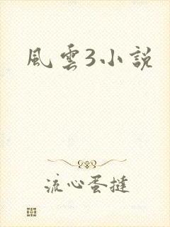 风云3小说