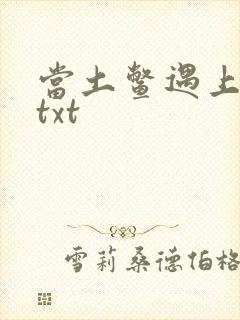 当土鳖遇上海龟txt