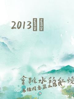 2013С˵