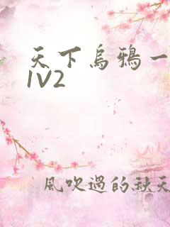 天下乌鸦一般黑1V2