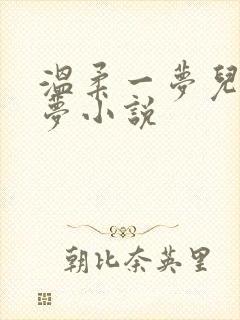 温柔一梦儿媳林梦小说