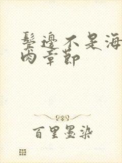 鬓边不是海棠红肉章节