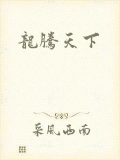 龙腾天下