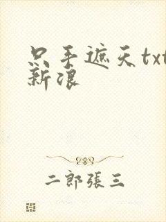 只手遮天txt新浪