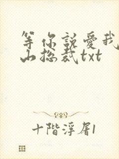 等你说爱我之冰山总裁txt