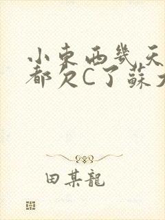 小东西几天没做都欠C了苏大深