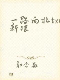 一路向北txt新浪