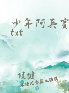 少年阿兵宾小说txt