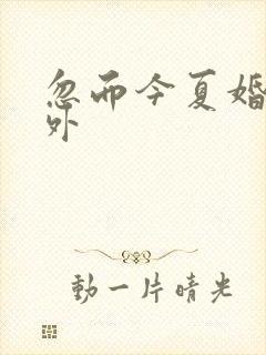 忽而今夏婚后番外