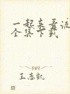 一起来看流星雨全集下载