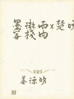 墨微雨x楚晚宁客栈肉