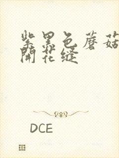 紫黑色蘑菇头顶开花缝