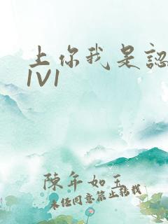 上你我是认真的1V1