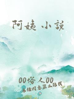 阿姨 小说