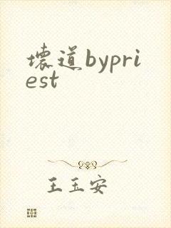坏道bypriest