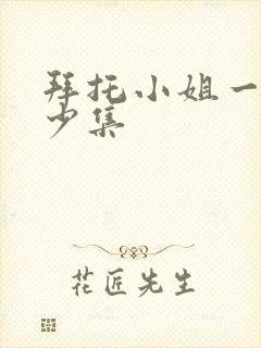 拜托小姐一共多少集