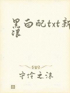 黑白配txt新浪