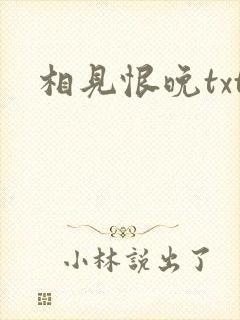 相见恨晚txt