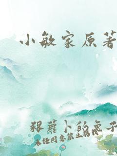 小敏家原著