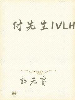 付先生1VLH