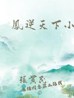 凤逆天下小说