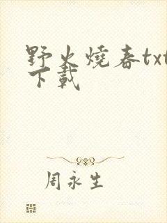 野火烧春txt下载