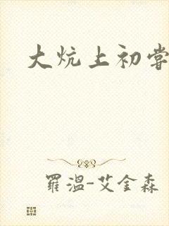 大炕上初尝云雨