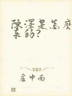 陈泽是怎么火起来的?