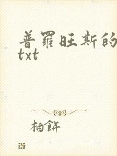 普罗旺斯的一年txt