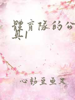 体育队的公用玩具1