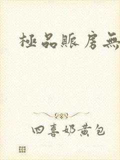 极品账房无弹窗