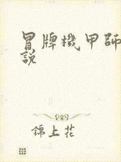 冒牌机甲师 小说