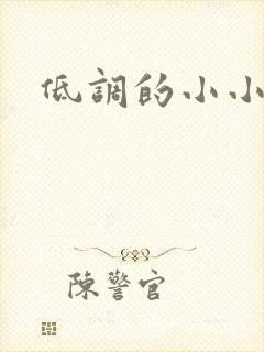 低调的小小宫女