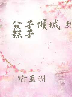 公子倾城 维和粽子