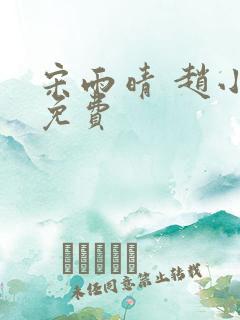 宋雨晴 赵小刚免费