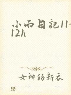 小雨日记11-12h