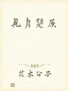 见月楚原