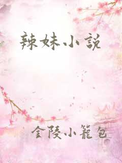 辣妹小说