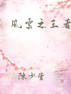 风云之王者人生